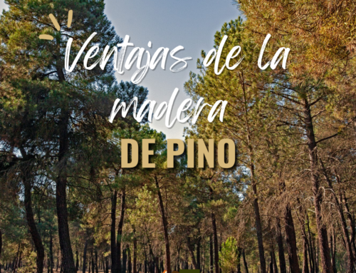¿Por qué elegir pellets de madera de pino?