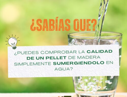 ¿Sabías que puedes comprobar la calidad de un pellet de madera simplemente sumergiéndolo en agua?