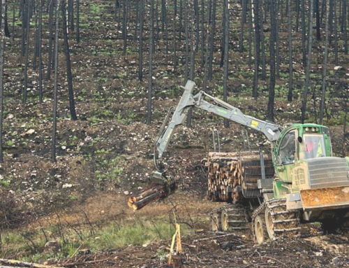 El trabajo forestal de Naturpellet